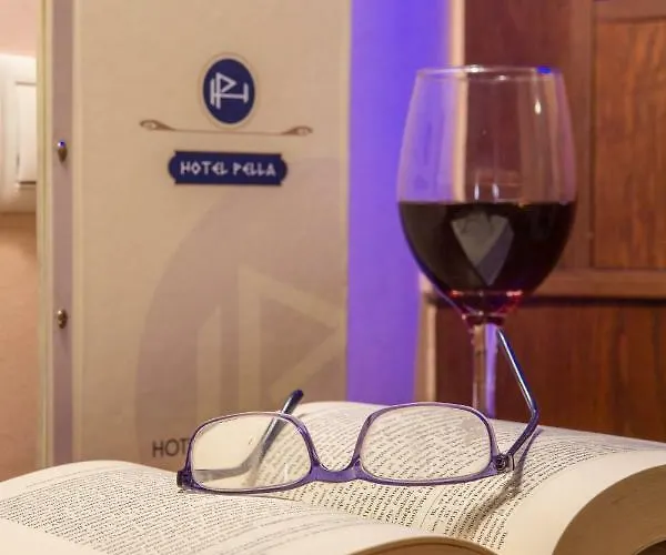酒店 Pella